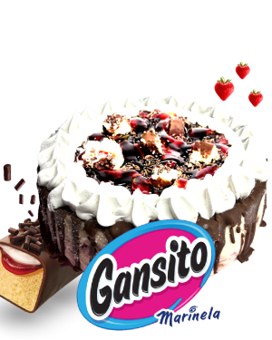 Pastel de Gansito